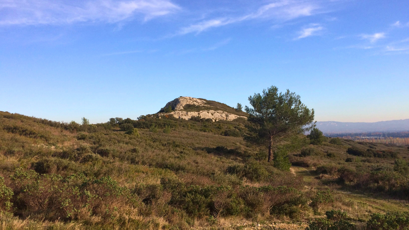 Montagne de la Guarrigue provençale